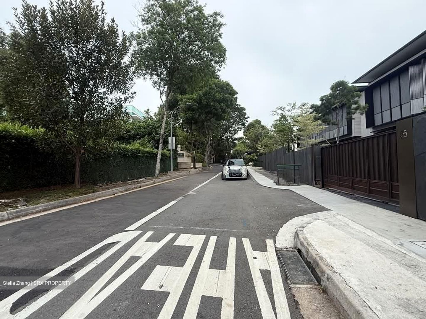 Leedon Park (D10), Detached #543494421